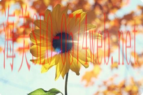 【點(diǎn)解要免費(fèi)整網(wǎng)頁？是窮呀！】網(wǎng)上創(chuàng)業(yè)第一步：免費(fèi)網(wǎng)頁隱憂問與答！