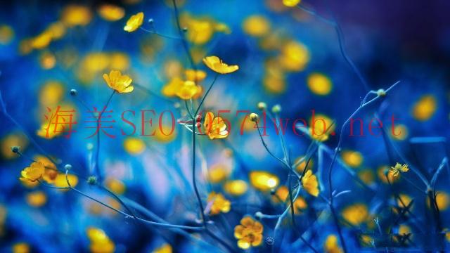 【SEO 入門攻略一】SEO 重要嗎？ 一文了解什么是 SEO！