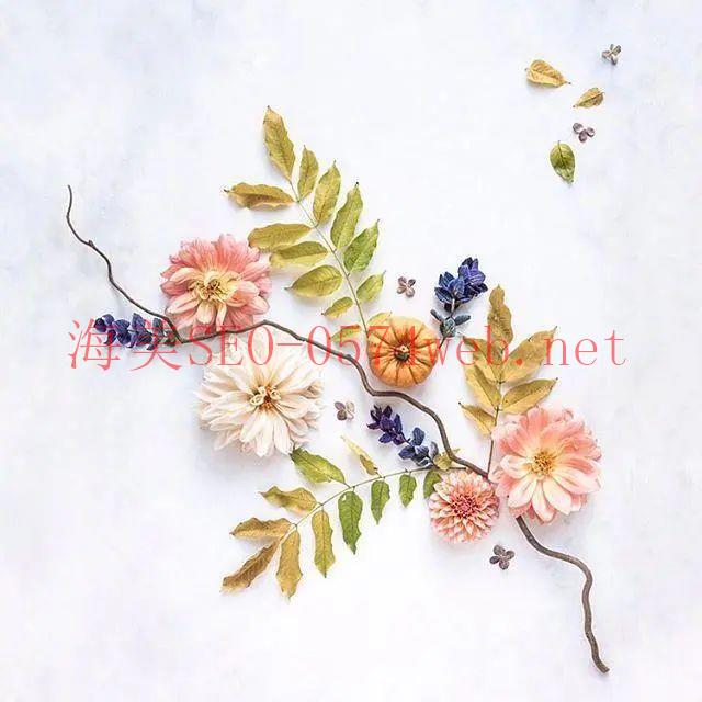 【結(jié)構(gòu)化資料】如何啟用複合式搜尋結(jié)果？｜SEO 入門(mén)攻略六