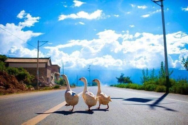 不停放棄購物車的奇怪客戶？真實身份竟然是百度優(yōu)化？