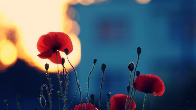 【SEO V.S. SEM】一文話你知SEO SEM分別，SEO教學同SEO工具介紹