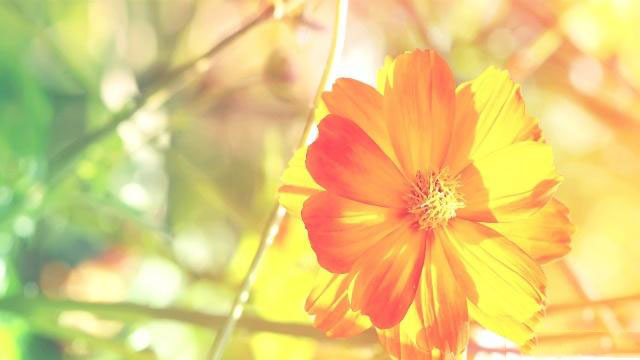 【 SEO資訊站 】2022年12月核心更新 - SEO公司| 企業(yè)網(wǎng)絡營銷| 百度關鍵詞排名- 海美SEO