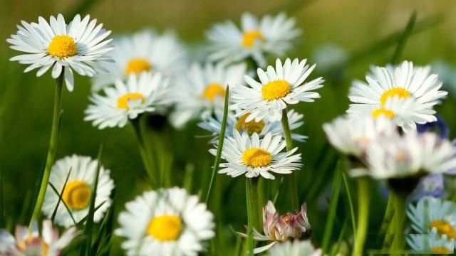 UI/UX設(shè)計(jì)師必備！五大實(shí)用Sketch外掛程式推薦 - 海美seo【寧波海美seo優(yōu)化官網(wǎng)】