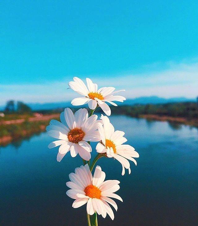 【SEO小技巧】電子商務(wù)網(wǎng)站SEO小貼士（下） - SEO公司| 企業(yè)網(wǎng)絡(luò)營(yíng)銷(xiāo)| 百度關(guān)鍵詞排名- 海美SEO