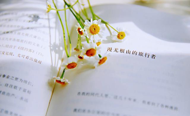 該選擇網(wǎng)站設(shè)計(jì)公司還是自架網(wǎng)站？優(yōu)缺點(diǎn)大分析！ - 海美seo【寧波海美seo優(yōu)化官網(wǎng)】