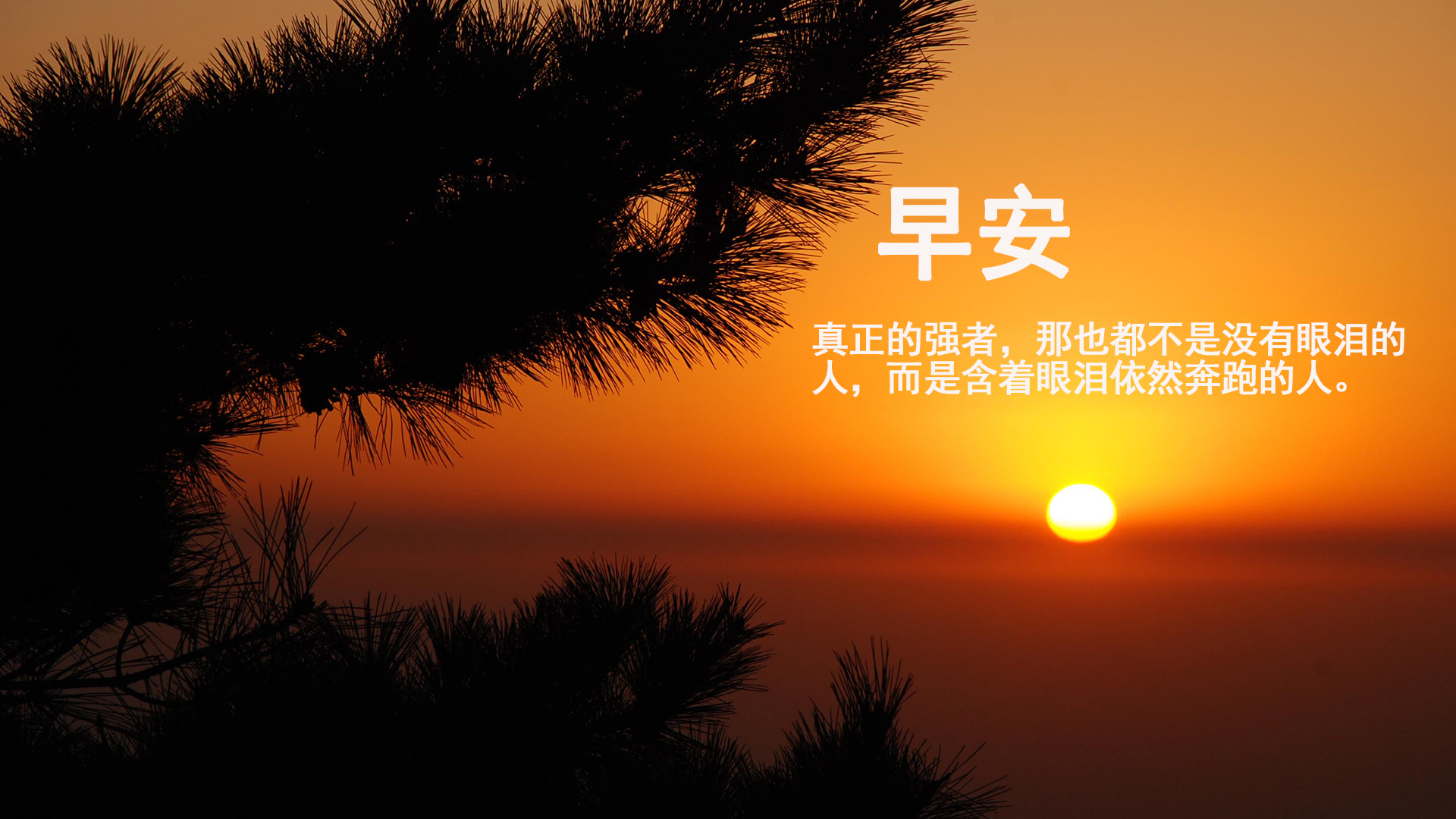 COVID-19如何改變搜尋結(jié)果頁？