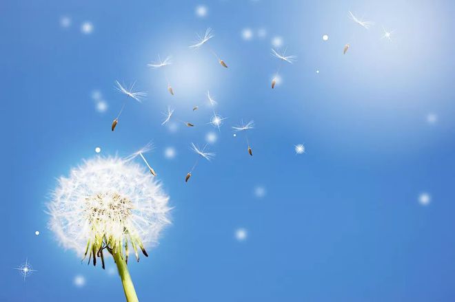 如何與KOL網(wǎng)紅順利合作？教你如何在眾多品牌中脫穎而出！【寧波海美seo優(yōu)化官網(wǎng)】