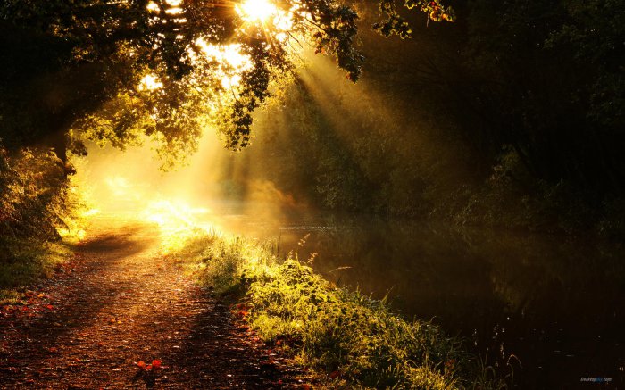 網站建設 | 海美seo網站建設公司【寧波海美seo優(yōu)化官網】