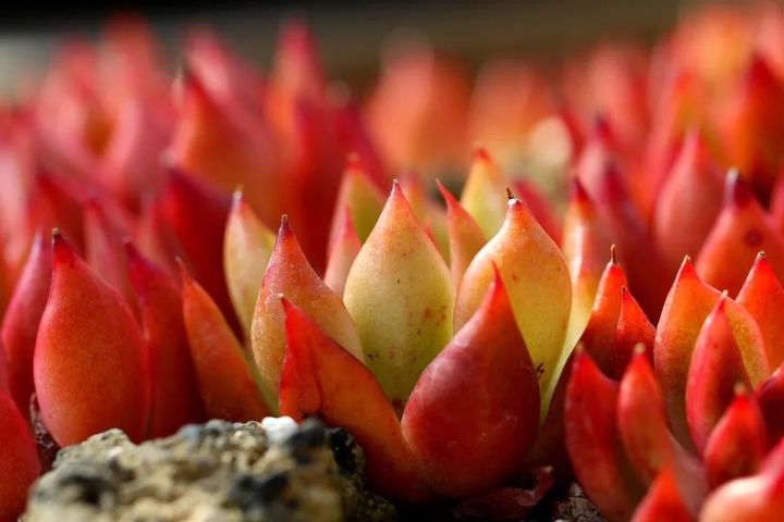 什么是A/B分割測試？找出更吸引用戶的頁面布局 - 海美seo【寧波海美seo優(yōu)化官網】