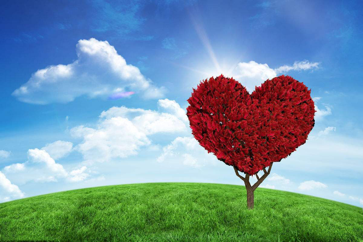 SEO網(wǎng)頁製作軟件的大革命 - WordPress - SEO公司| 企業(yè)網(wǎng)絡營銷| 百度關鍵詞排名- 海美SEO