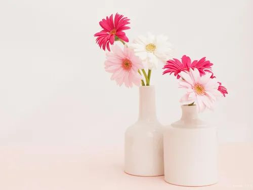 SEO優(yōu)化公司告訴您！可靠的SEO提案是怎樣的？