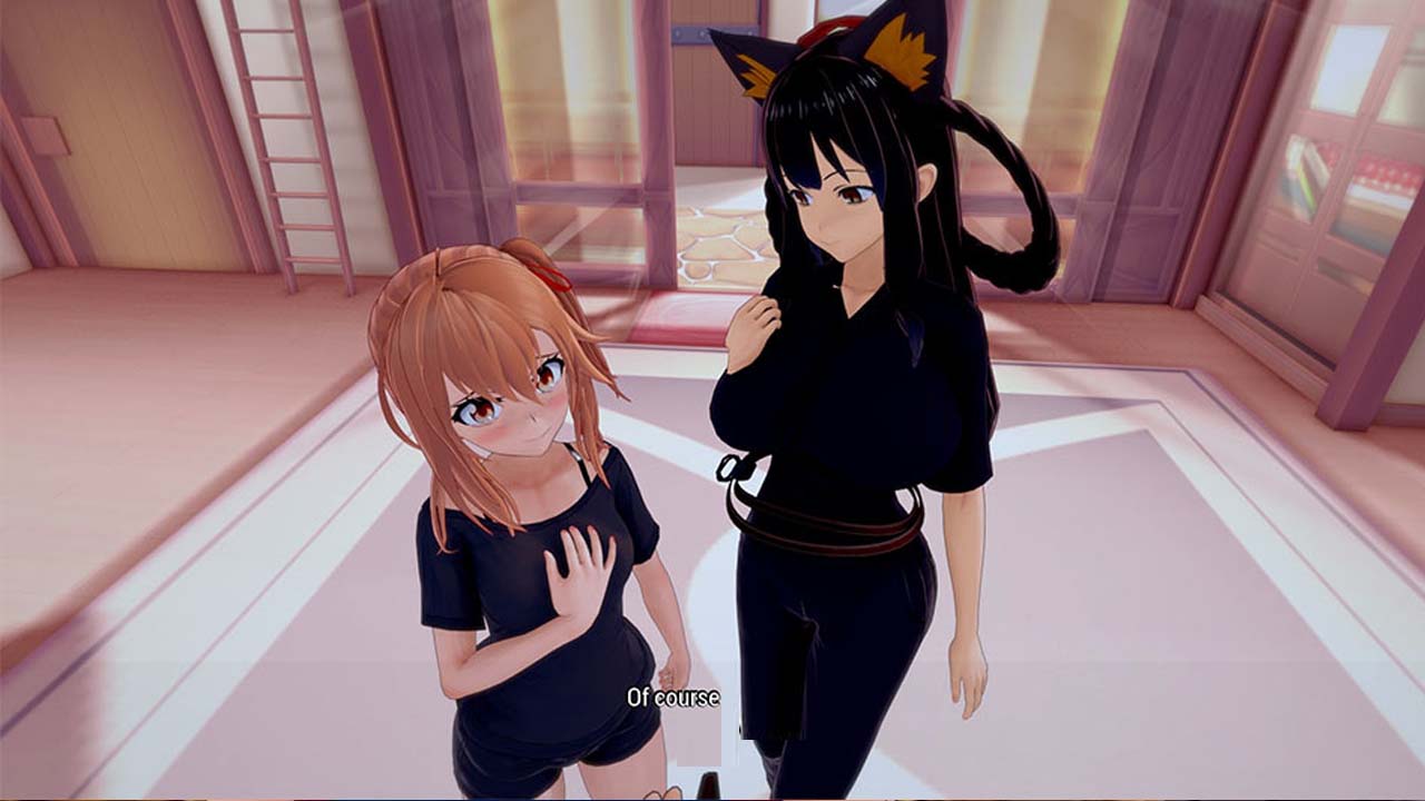 勇者后宮公會/Hero’s Harem Guild PC+安卓漢化版