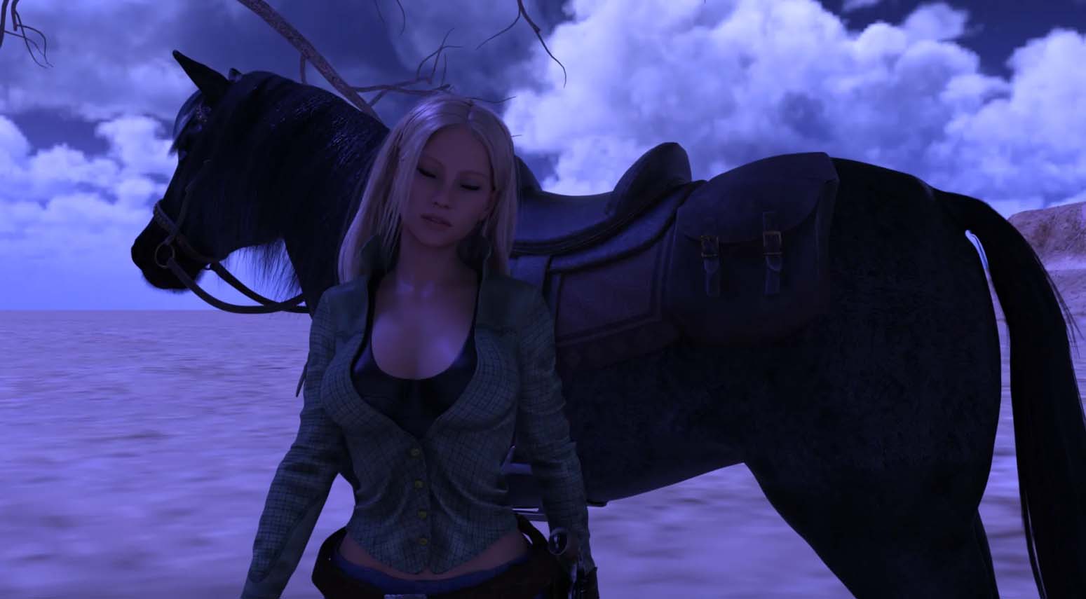 [SLG/漢化/動(dòng)態(tài)]狂野西部的布魯克斯 0.70 PC+安卓漢化版[百度網(wǎng)盤(pán)]