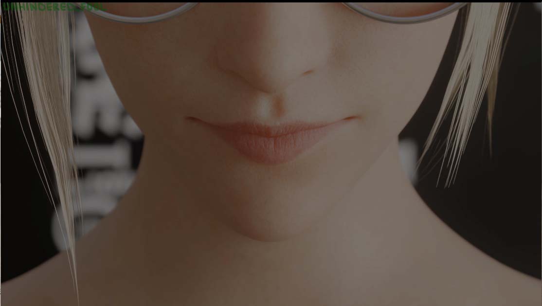 [3D同人動(dòng)畫] Unhindered Fool師：2024年9月更新整合守望先鋒 [2.4G/百度網(wǎng)盤]