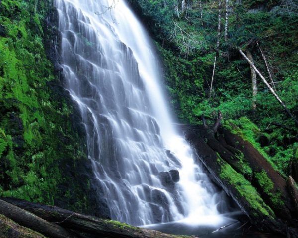 如何長得更帥文案短句