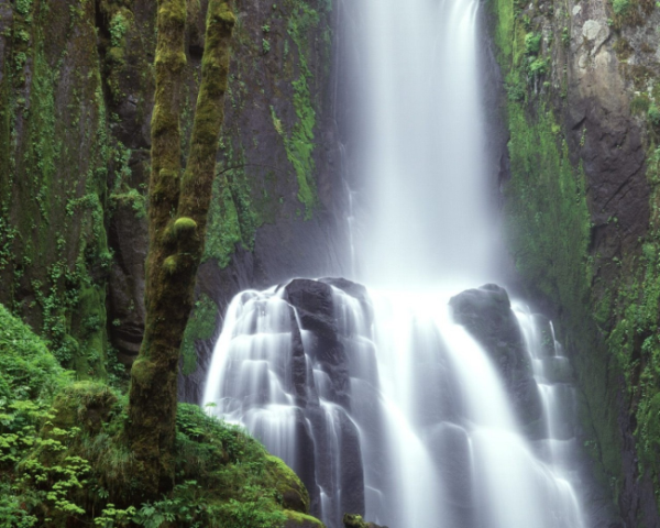 如何評價諧音梗文案短句