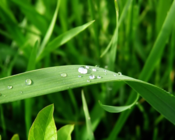 PHP 7 Session 選項(xiàng)  介紹