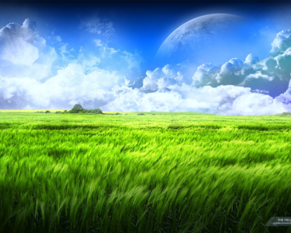 Windows 10 配置Java 環(huán)境變量詳解