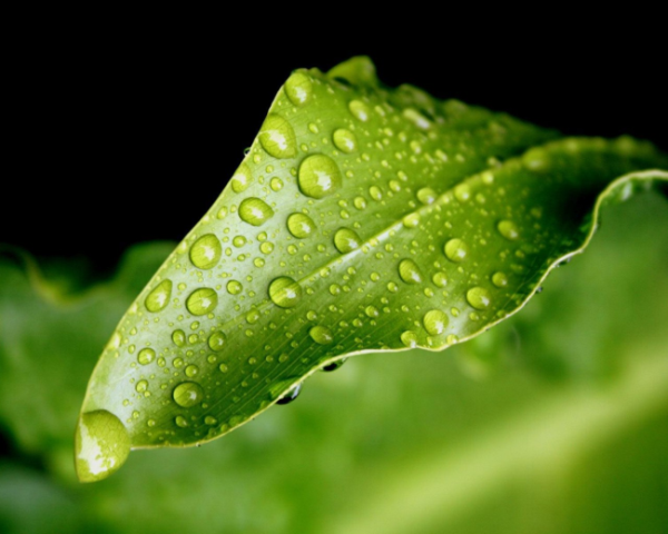 中國(guó)移動(dòng)端優(yōu)化思路