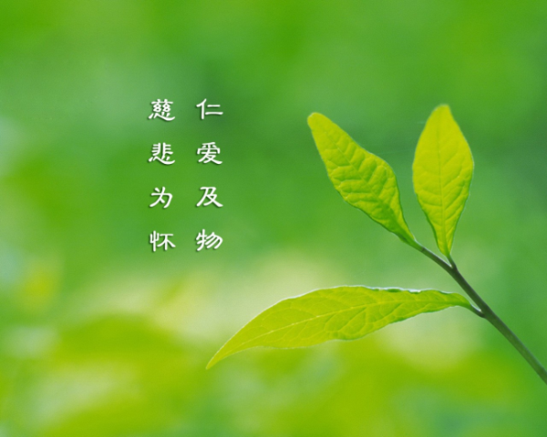 如何跟帥哥做朋友文案