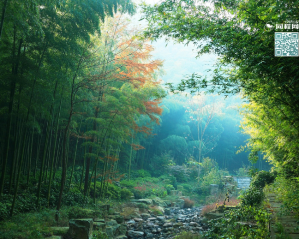 XPath 語法  介紹