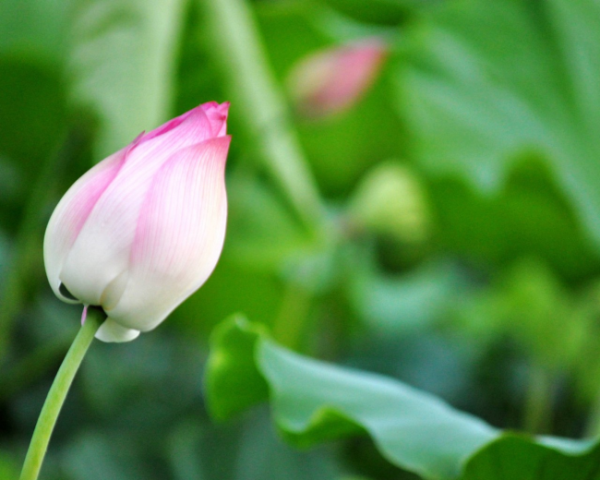 chatgpt幫忙注冊(cè)