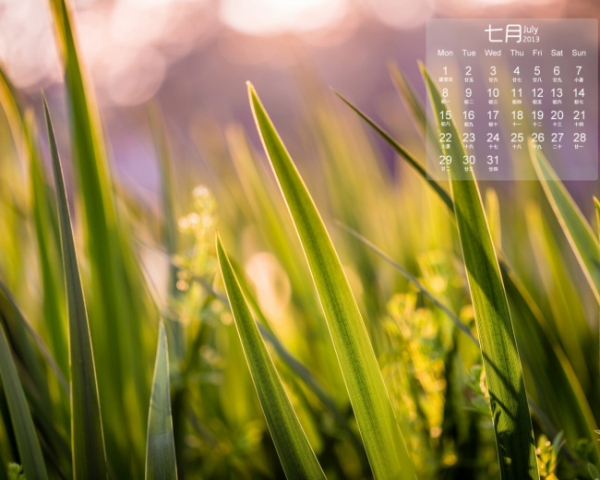 如何尋找良友文案