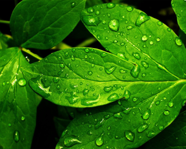 品牌社交廣告案例盤(pán)點(diǎn)(新型廣告宣傳方式)