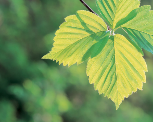 如何煮飯視頻文案短句子