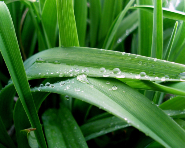 如何介紹風(fēng)景文案句子簡(jiǎn)短