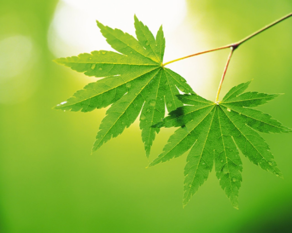 四川移動端整站優(yōu)化 sit