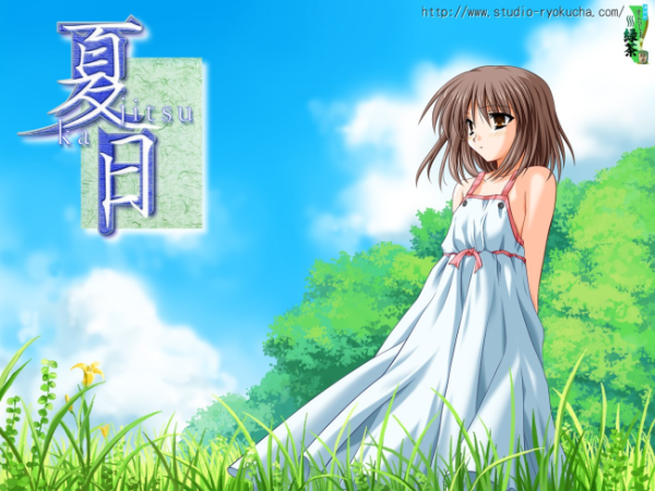 C 庫函數(shù)  ndash  fgets()詳解