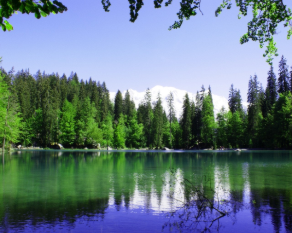 Linux ps 命令  介紹