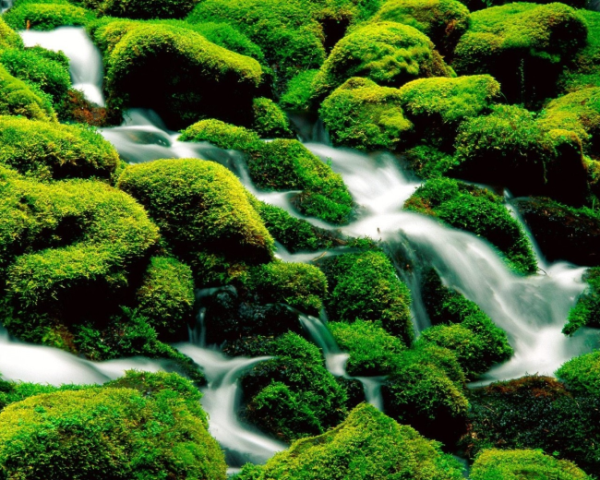 網(wǎng)站推廣seo