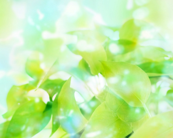 用軟件怎么引流(app引流推廣方法)