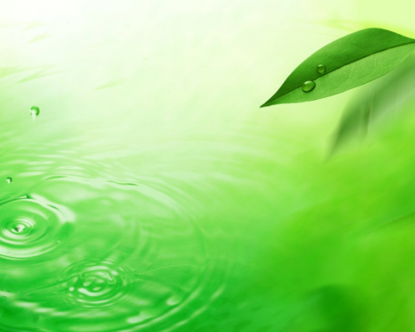 如何避免車禍文案簡短版