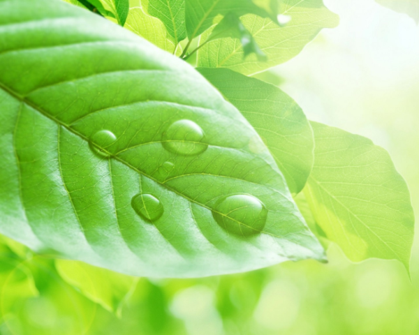 床墊深度清潔如何推廣文案