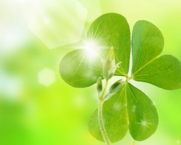 讓chatgpt復(fù)制自己的人格