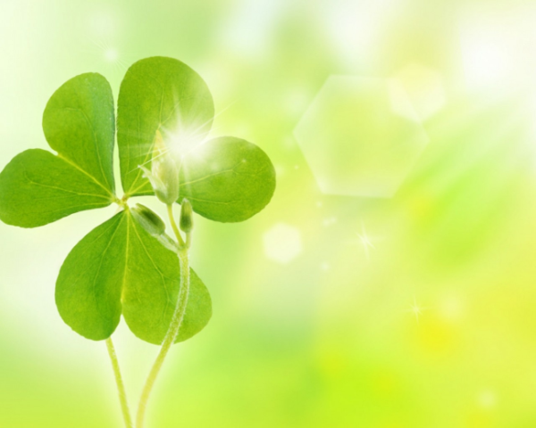 MySQL 導(dǎo)出數(shù)據(jù)詳解