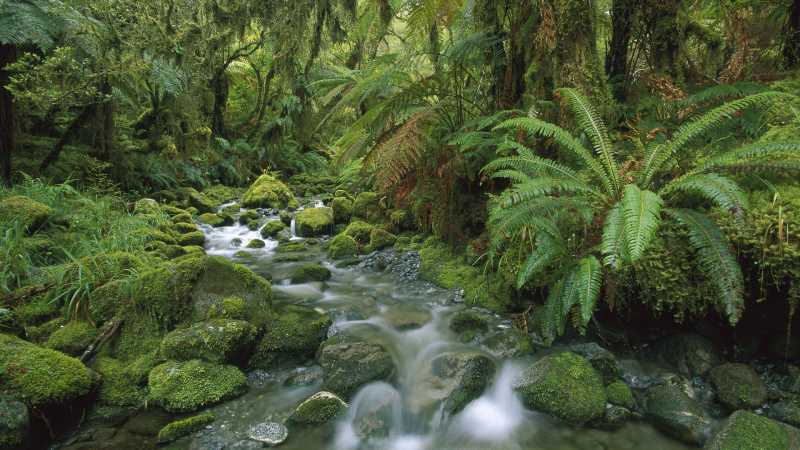 如何回復(fù)男人的文案短句