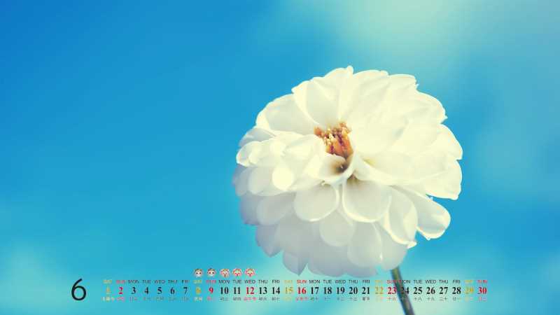 怎樣寫(xiě)一個(gè)介紹chatgpt