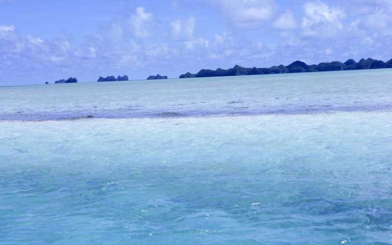 pc端 手機(jī) 移動(dòng) 網(wǎng)頁(yè)性能優(yōu)化 技術(shù)