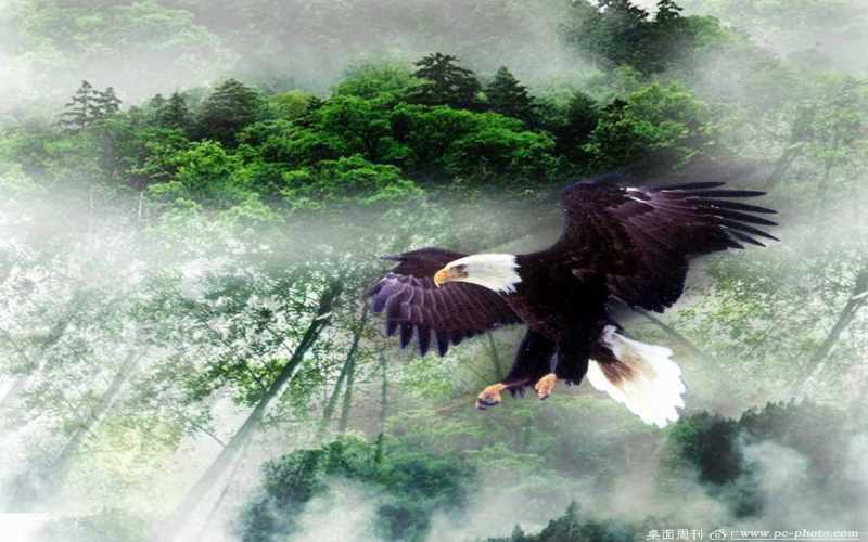 HTML  amp lt nav amp gt  標(biāo)簽  介紹