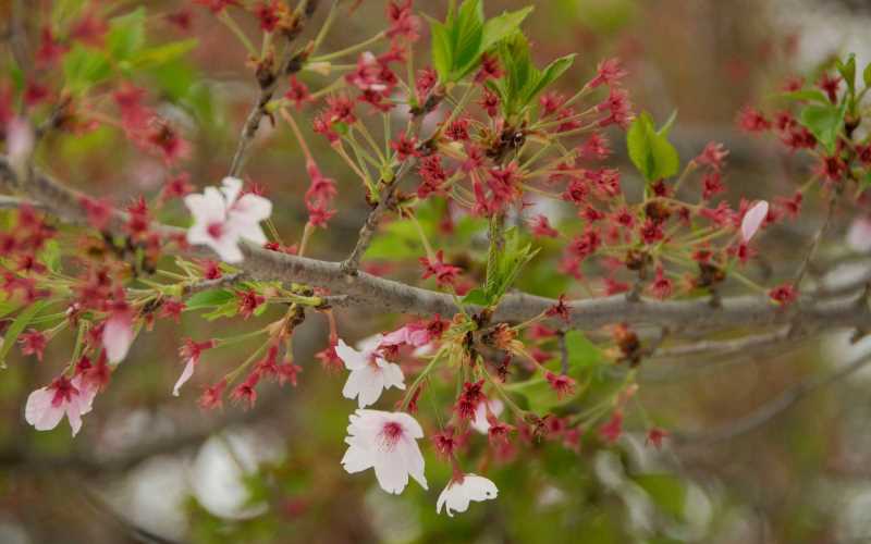 恐慌時如何平靜文案短句
