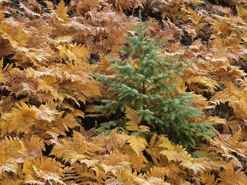 氣質(zhì)如何鍛煉文案句子簡短