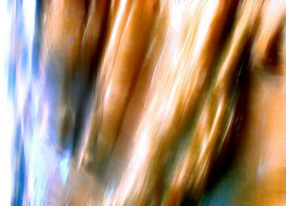 介紹  -  學(xué)的不僅是技術(shù) 更是夢想!