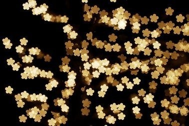 chatgpt電腦注冊(cè)流程