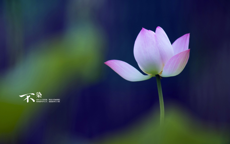 10.12 傳感器專題(4) mdash  mdash 其他傳感器了解詳解